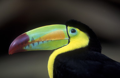 Similar image 11806971