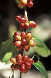 Similar image 11806972