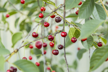 Similar image 11808949