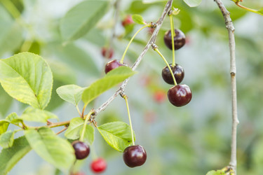 Similar image 11808950