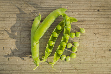 Similar image 11808971