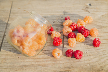 Similar image 11808973