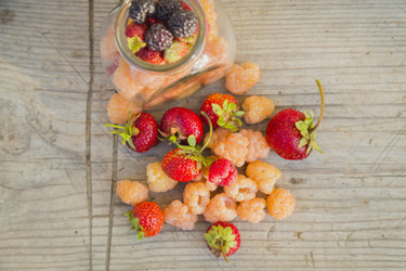 Similar image 11808975