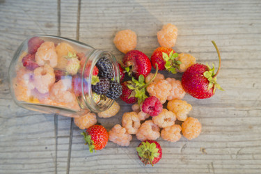 Similar image 11808978