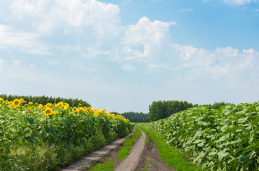 Similar image 11808912