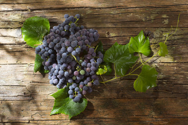 Similar image 11808951