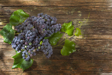 Similar image 11808952