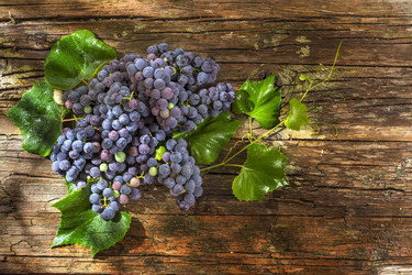 Similar image 11808953