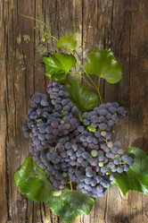 Similar image 11808956