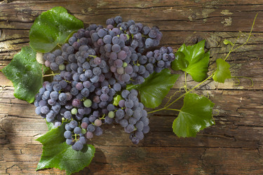 Similar image 11808957