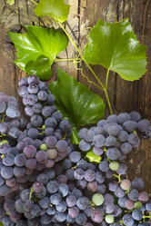 Similar image 11808958