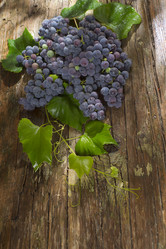 Similar image 11808961