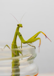 Similar image 11806350