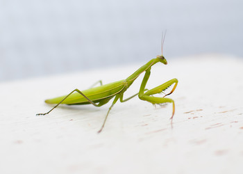 Similar image 11806351