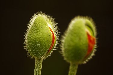 Similar image 11808979