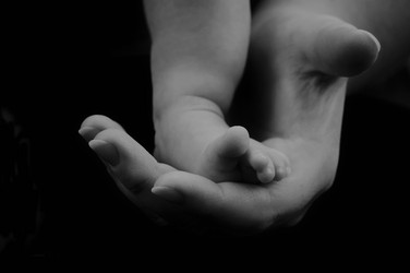 Similar image 11808980