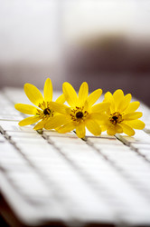 Similar image 11808984