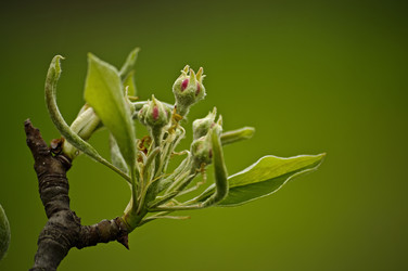 Similar image 11808985