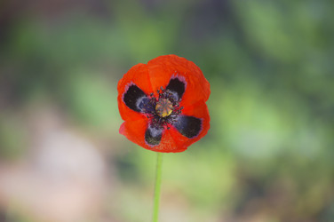 Similar image 11808998