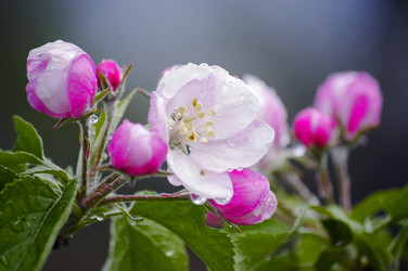 Similar image 11808999