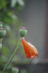 Similar image 11809001