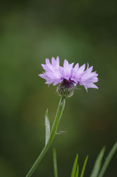 Similar image 11809002