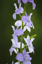 Similar image 11809003