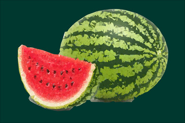 Similar image 11809006