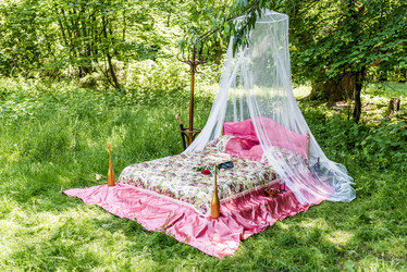 Similar image 11808167