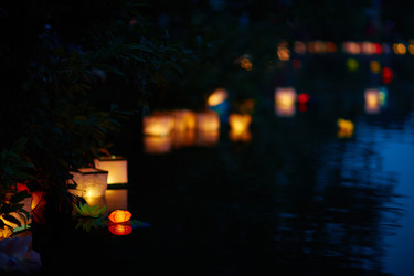 Similar image 11806568