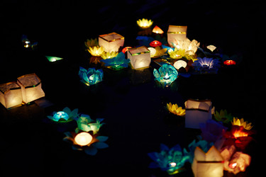 Similar image 11806570