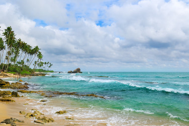 Similar image 11809317