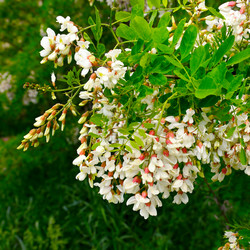 Similar image 11809318