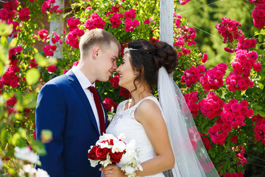 Similar image 11808108