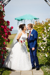 Similar image 11808109