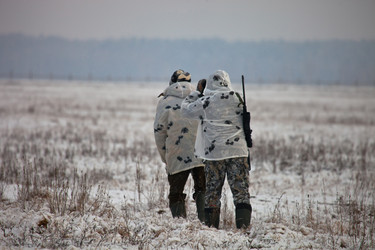 Similar image 11808942