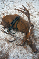 Similar image 11808946