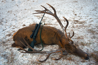 Similar image 11808948