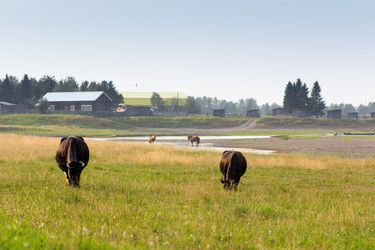 Similar image 11809040