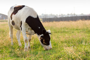 Similar image 11809041