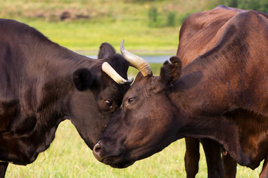 Similar image 11809042