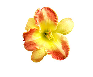 Similar image 11809311