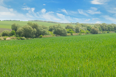 Similar image 11810486