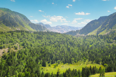 Similar image 11810487