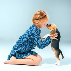 Similar image 11811039