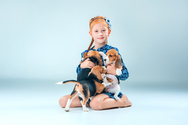 Similar image 11811407