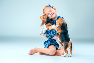 Similar image 11811411