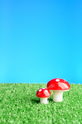 Similar image 11811650