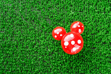 Similar image 11811656