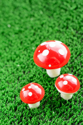 Similar image 11811662